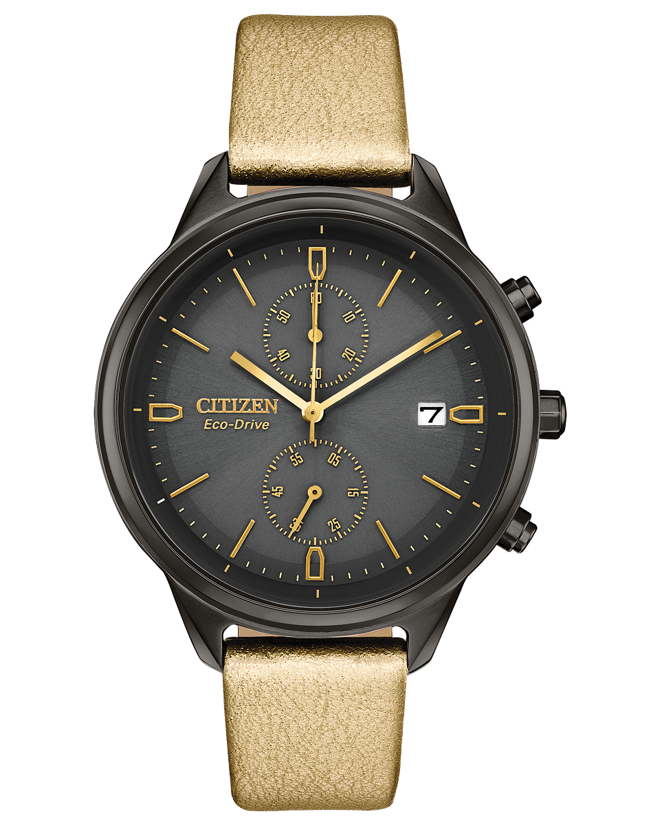 Citizen chandler 2025 stainless steel